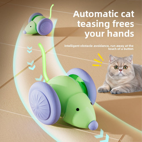 Automatic Rolling Cat Toy, Smart Touch-Activated Chase Toy