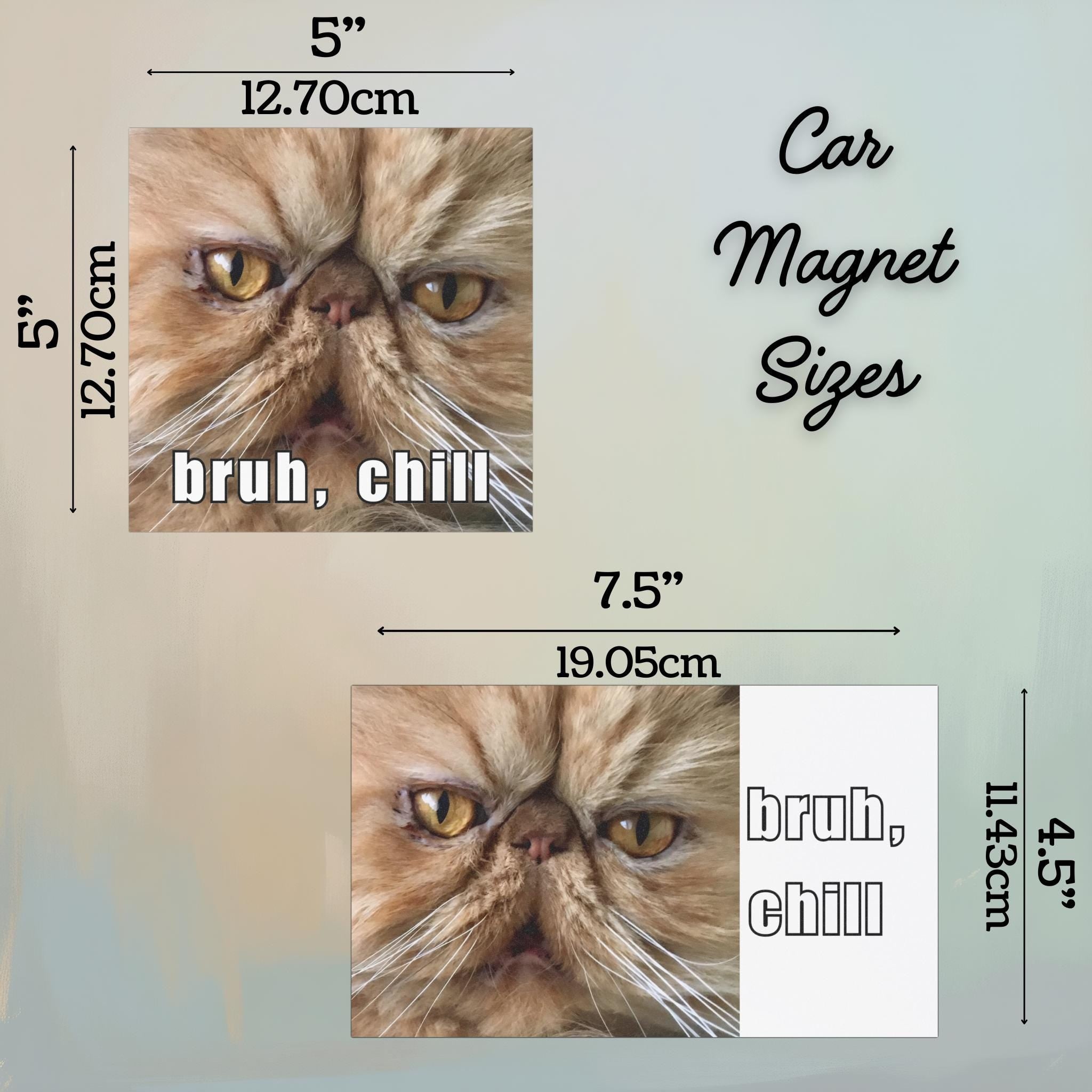 Funny Persian Cat Car Bumper Magnet