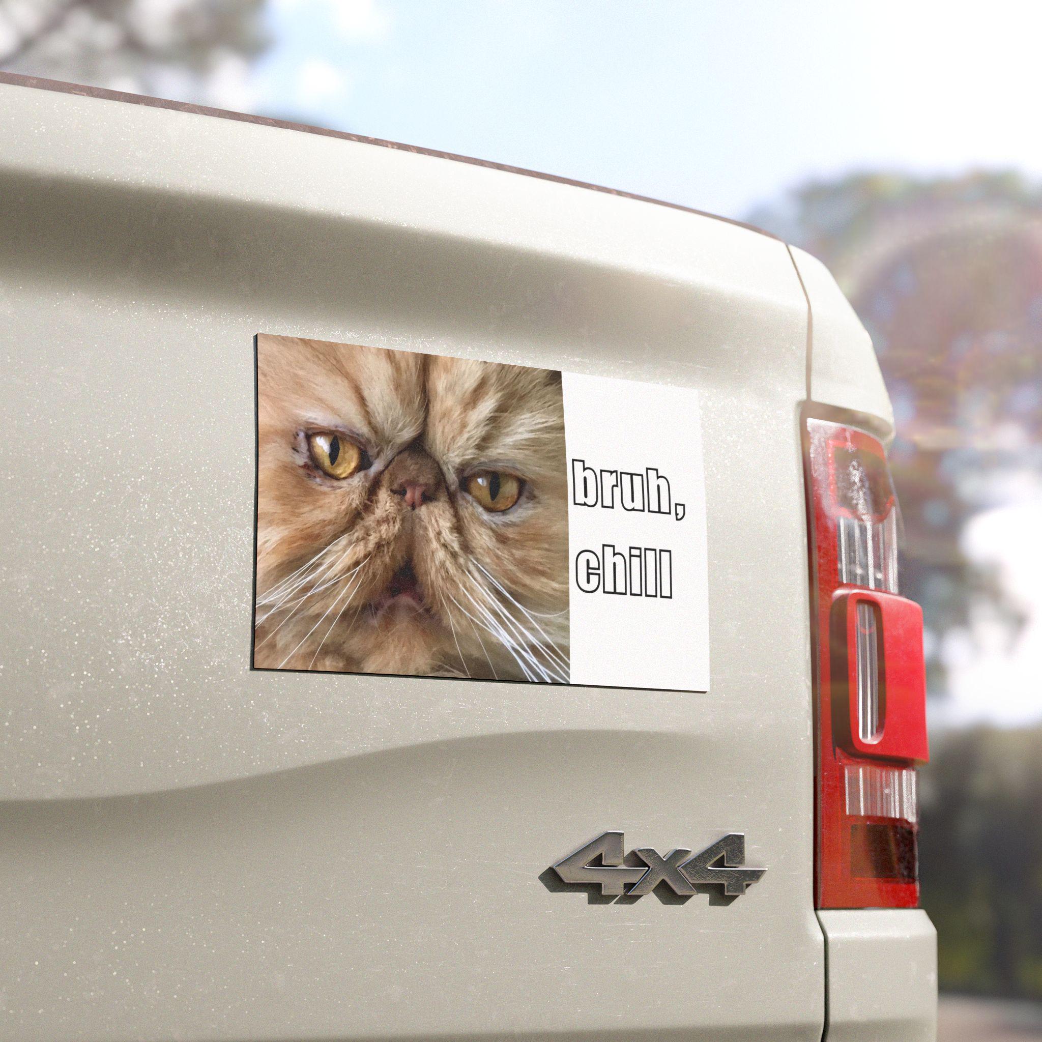 Funny Persian Cat Car Bumper Magnet