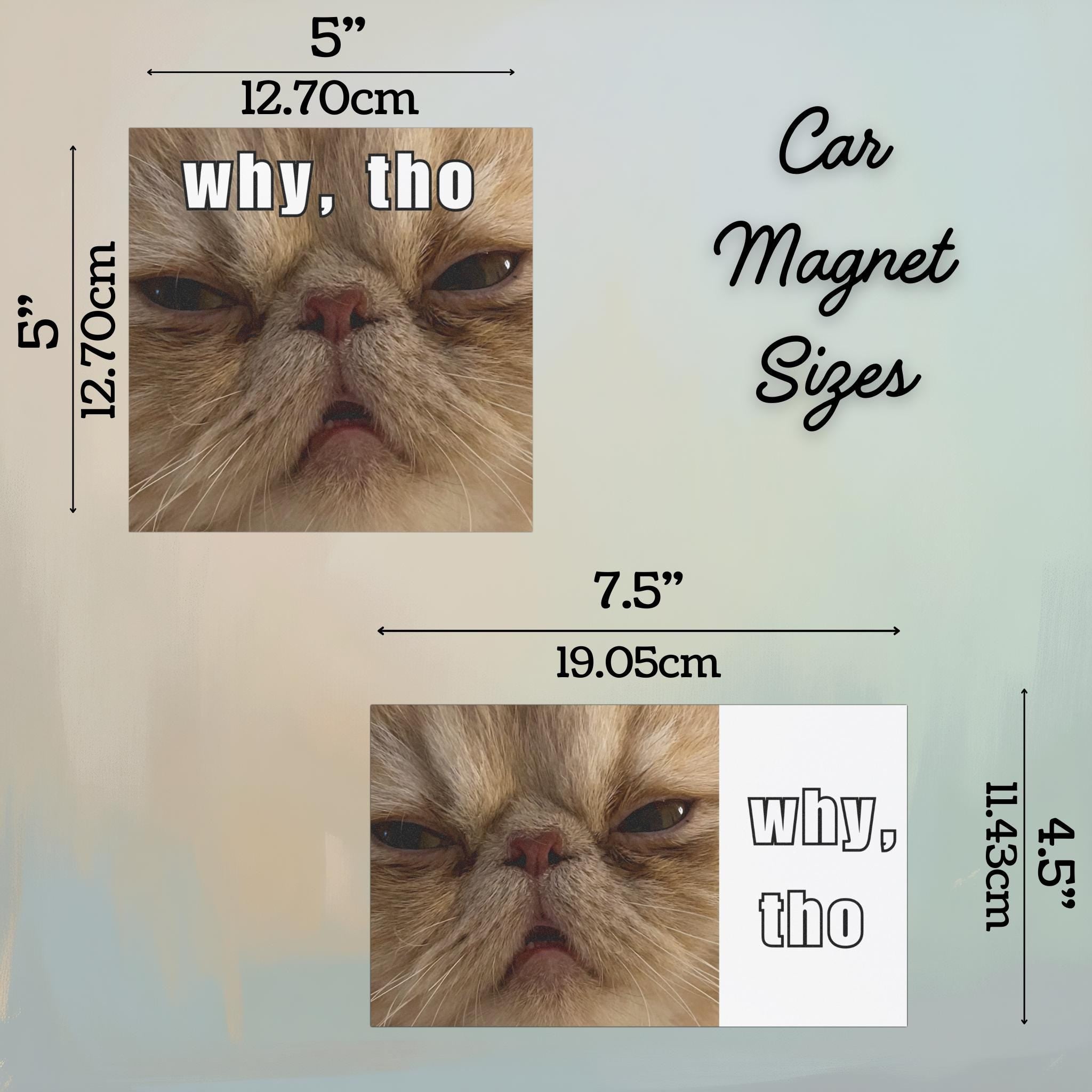 Funny Cat Car Magnet, Persian Cat Bumper Magnet