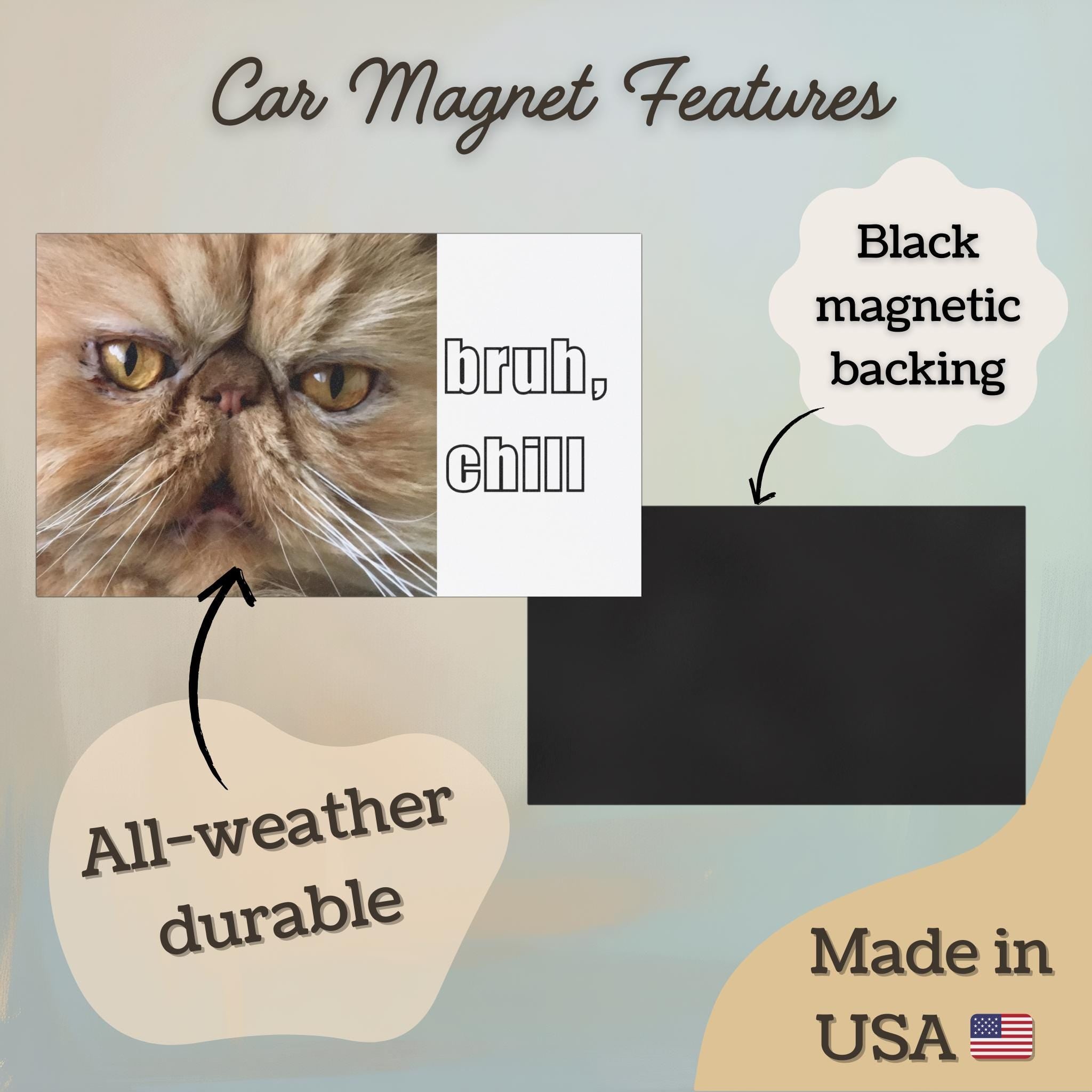 Funny Persian Cat Car Bumper Magnet