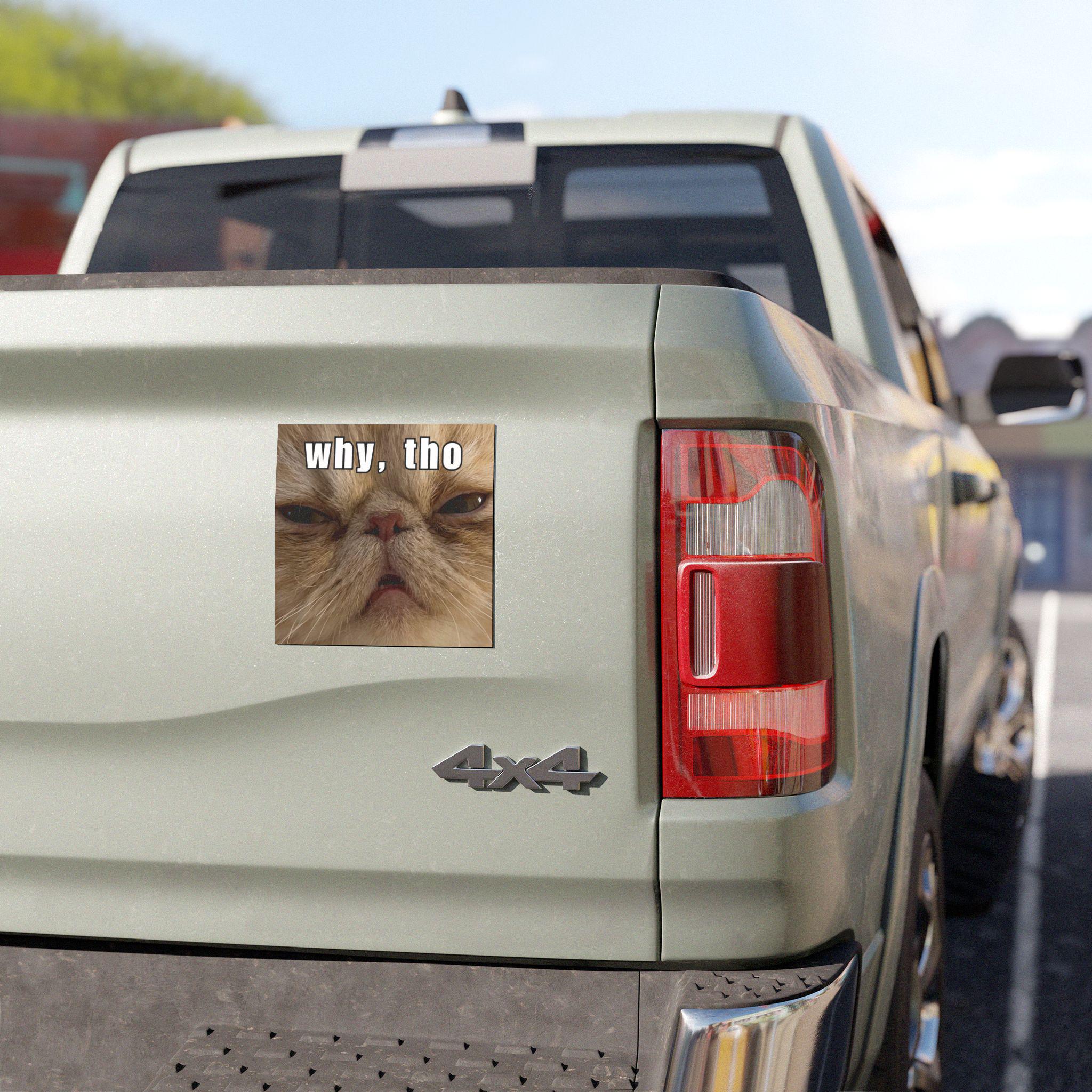 Funny Cat Car Magnet, Persian Cat Bumper Magnet