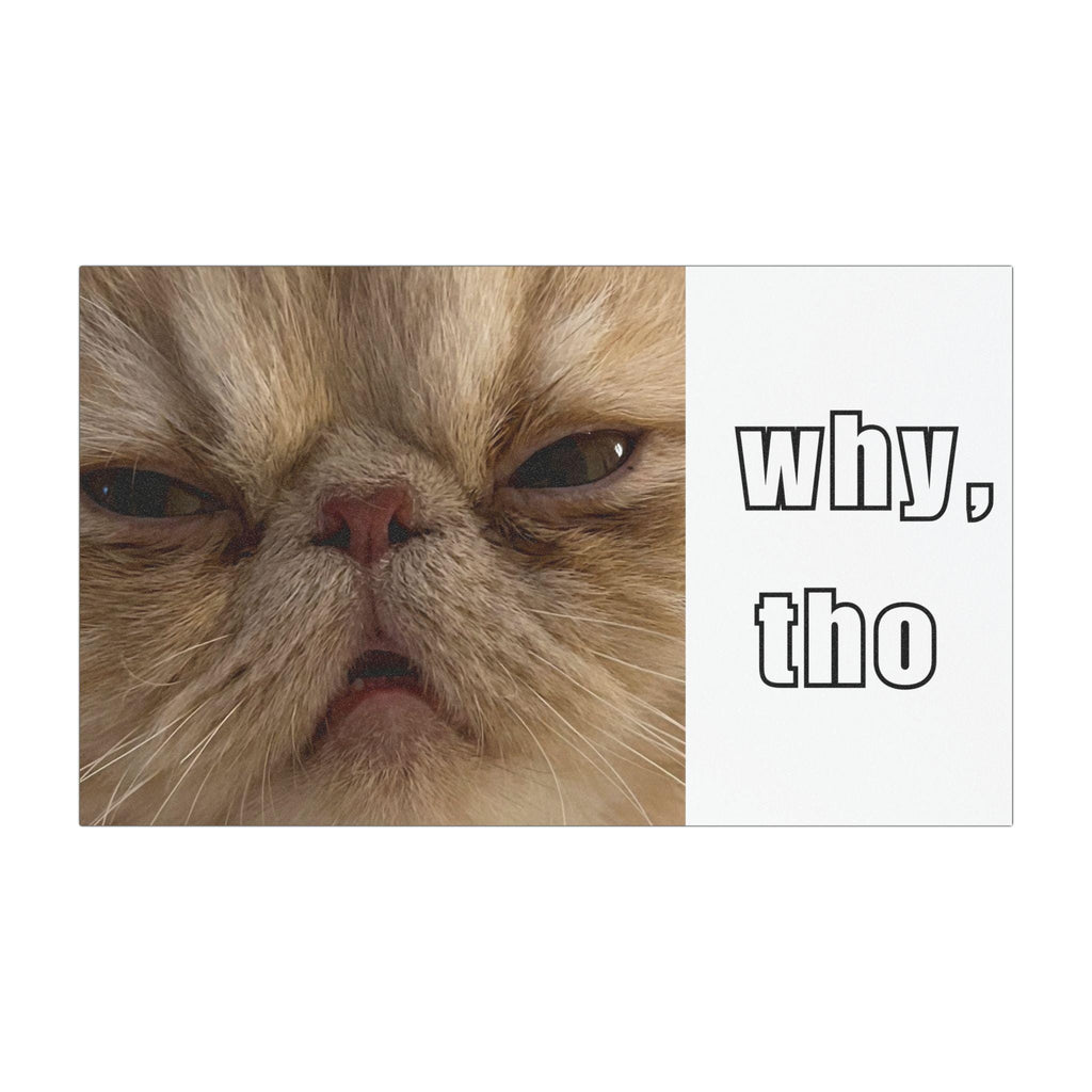 Funny Cat Car Magnet, Persian Cat Bumper Magnet