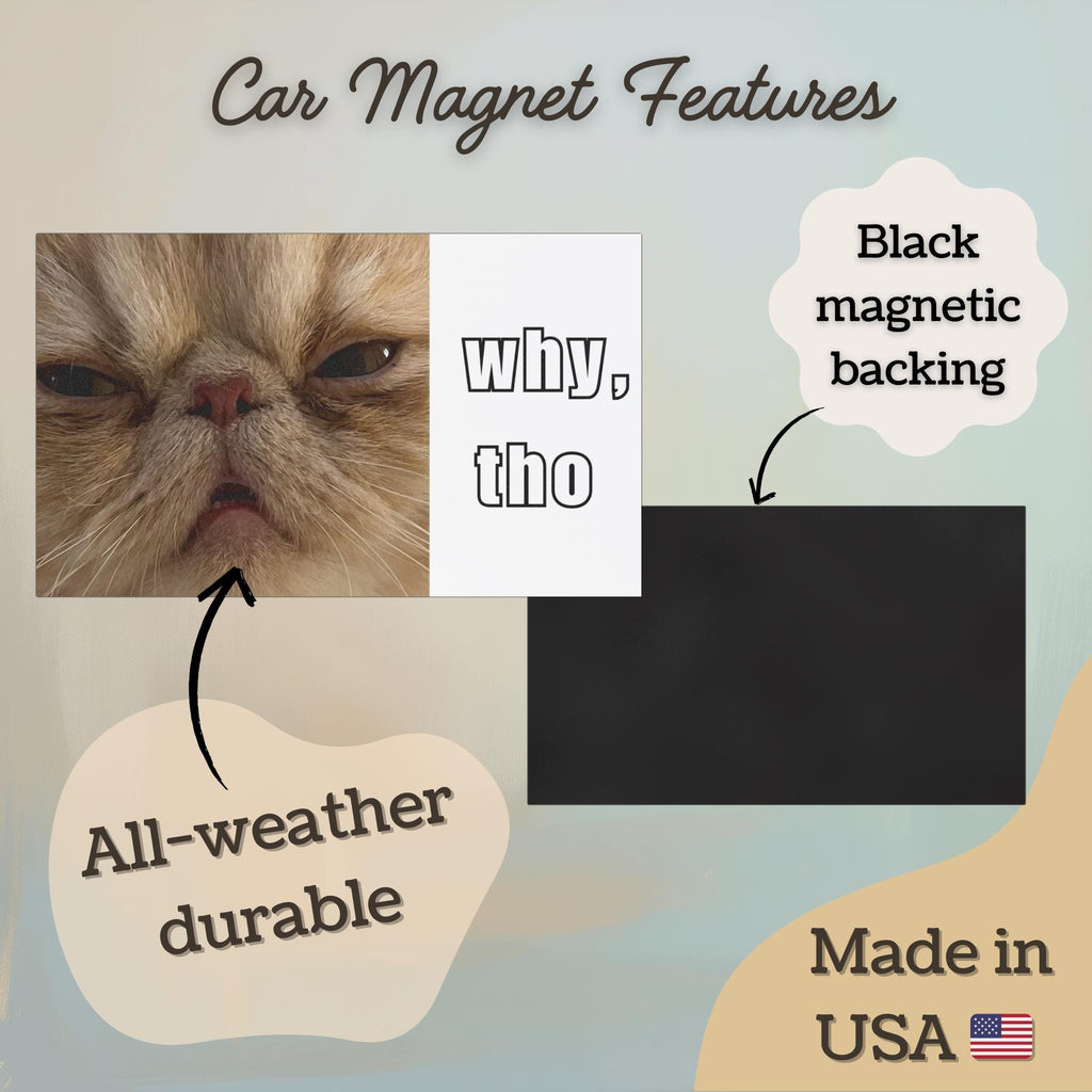 Funny Cat Car Magnet, Persian Cat Bumper Magnet