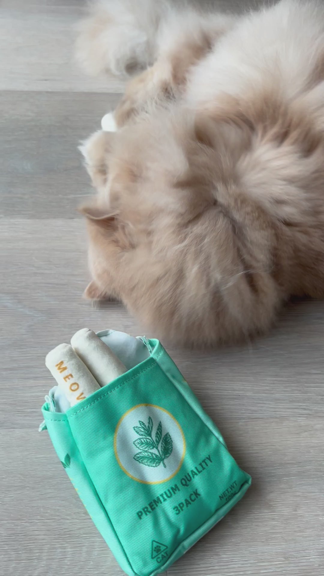 Meow Catnip Rolls, Premium 3-Pack Plush Chew Stick Set | Dental & Play Toy